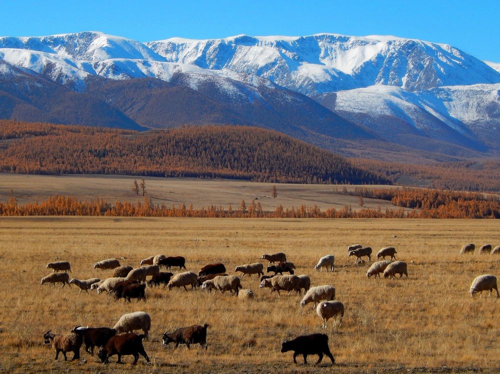 Photograph by Анастасия