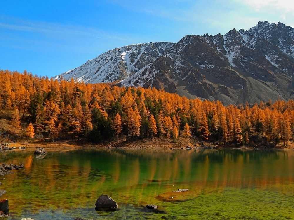 Photograph by Анастасия