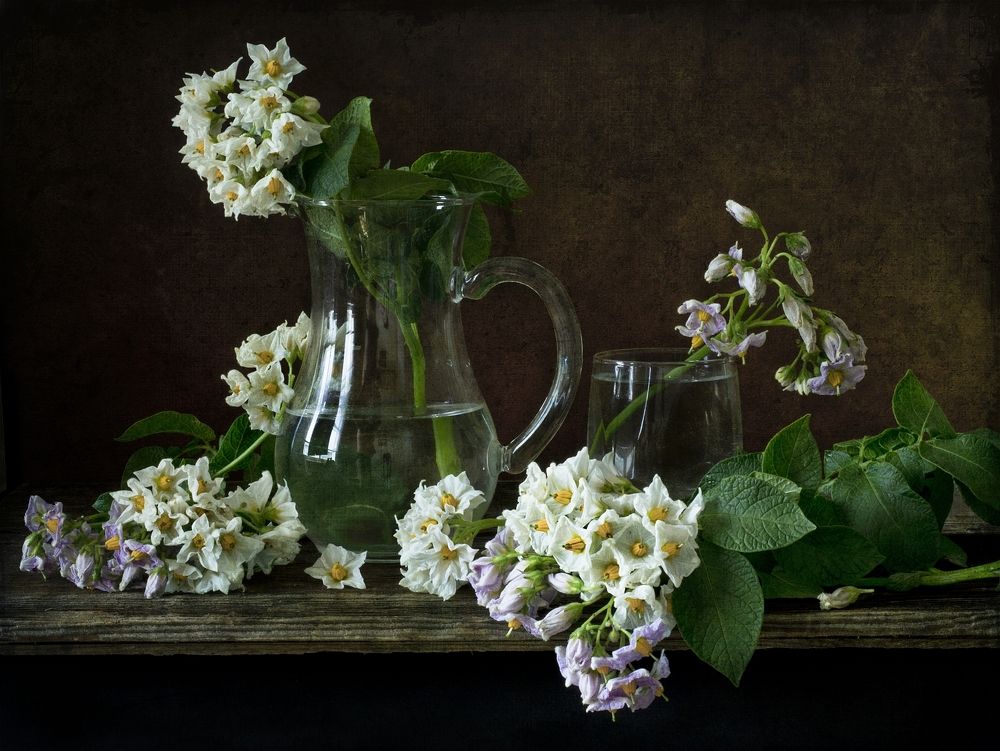 Букет чертова яблока /картофель/