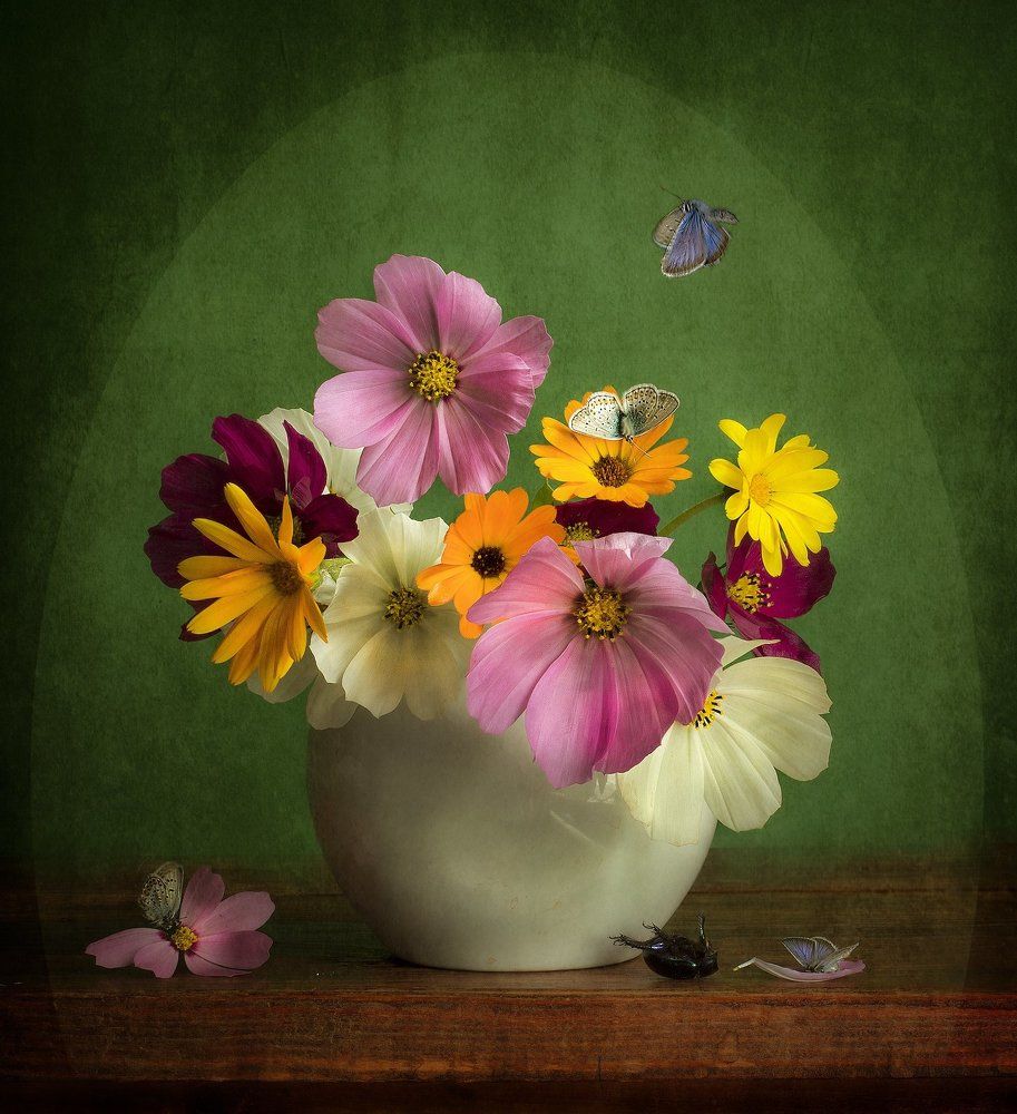 In levitas de vita ...