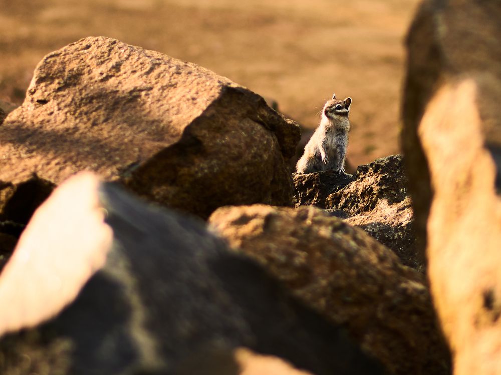 На разведке