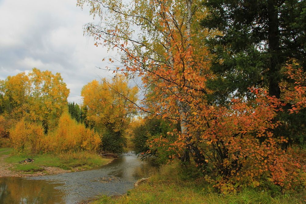 Хмурая осень