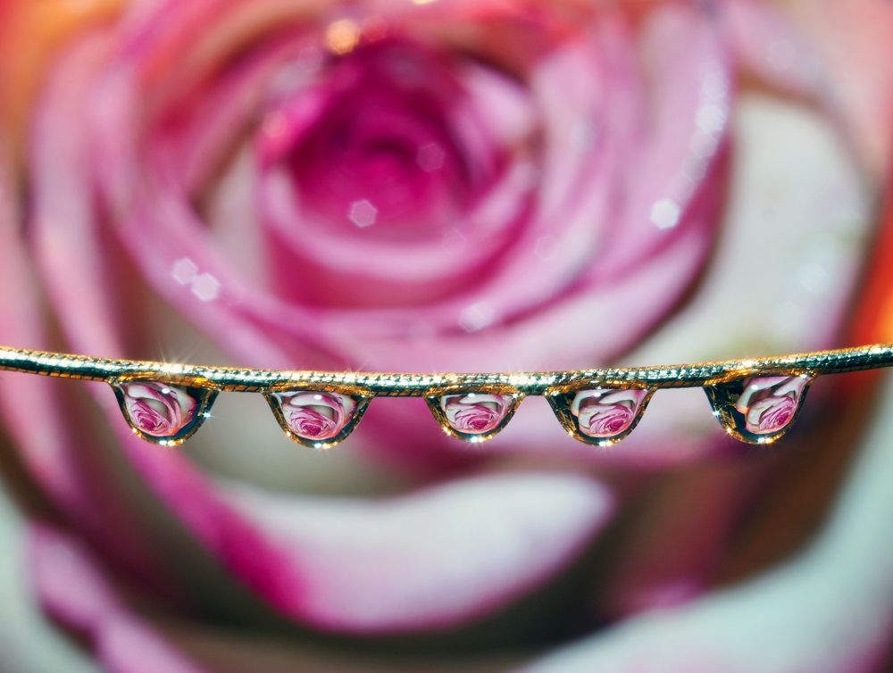 Отражение в капле...