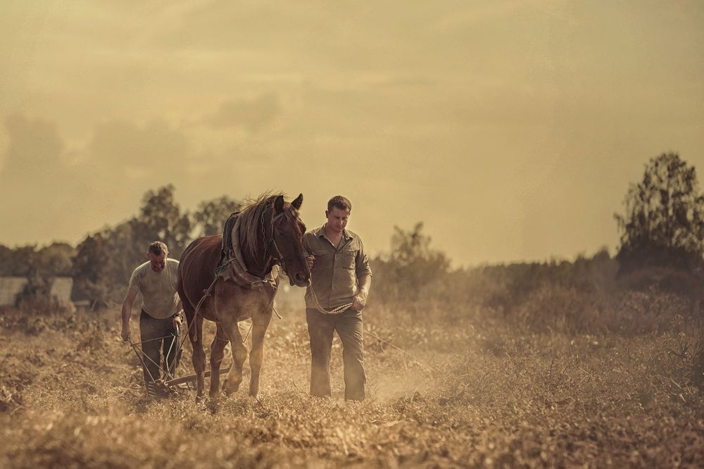 Photograph by Илона Чвань
