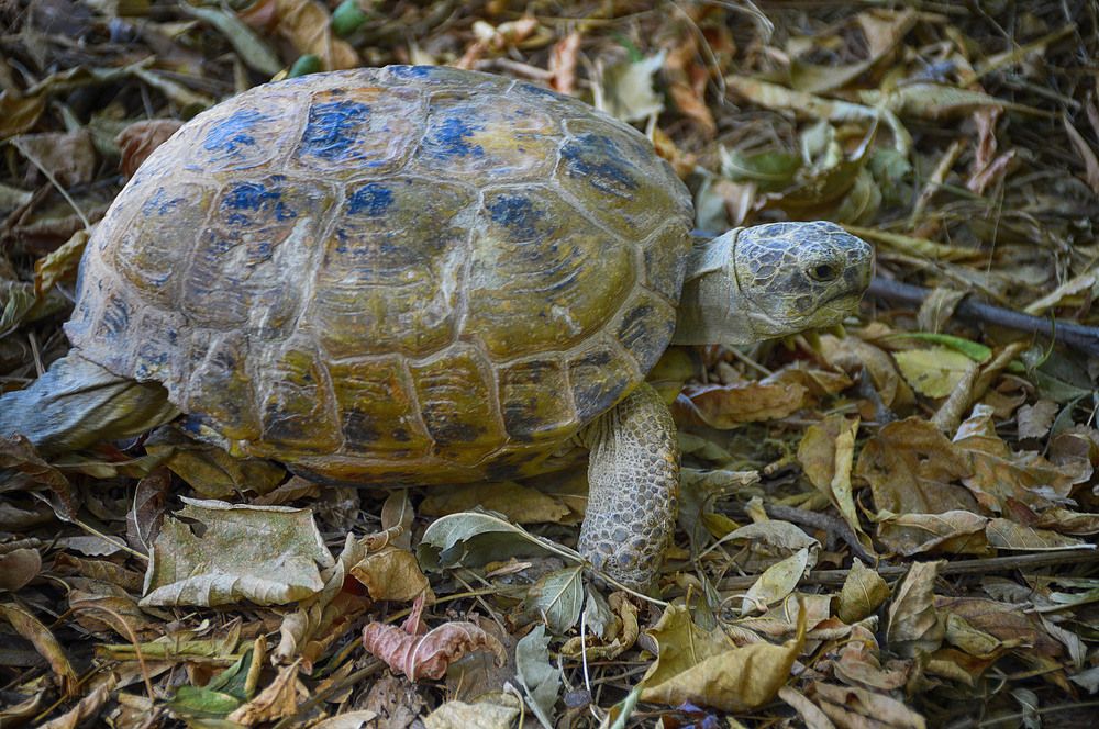 Photograph by Сергей Бережной