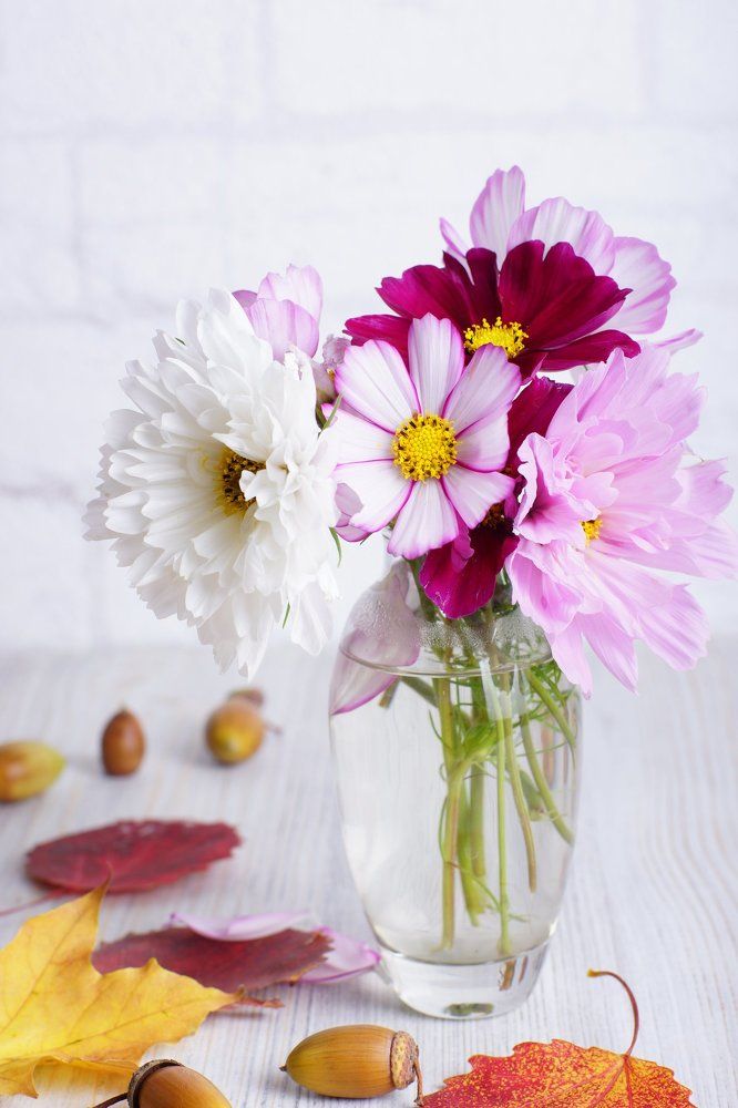 Осенний натюрморт