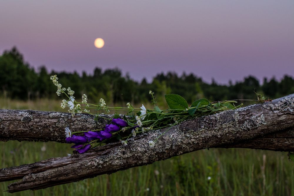 Свидание под луной