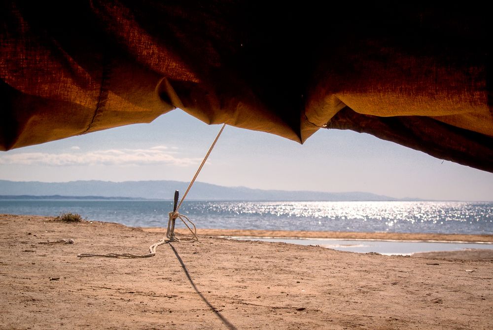 Лето на озере