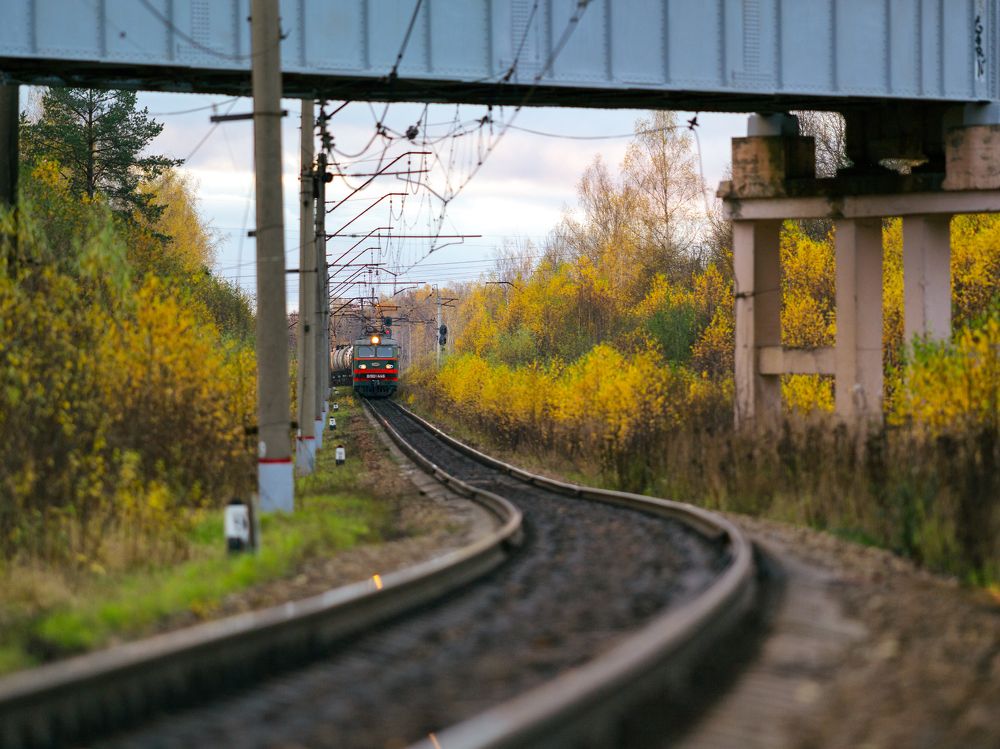 Секретная дорога