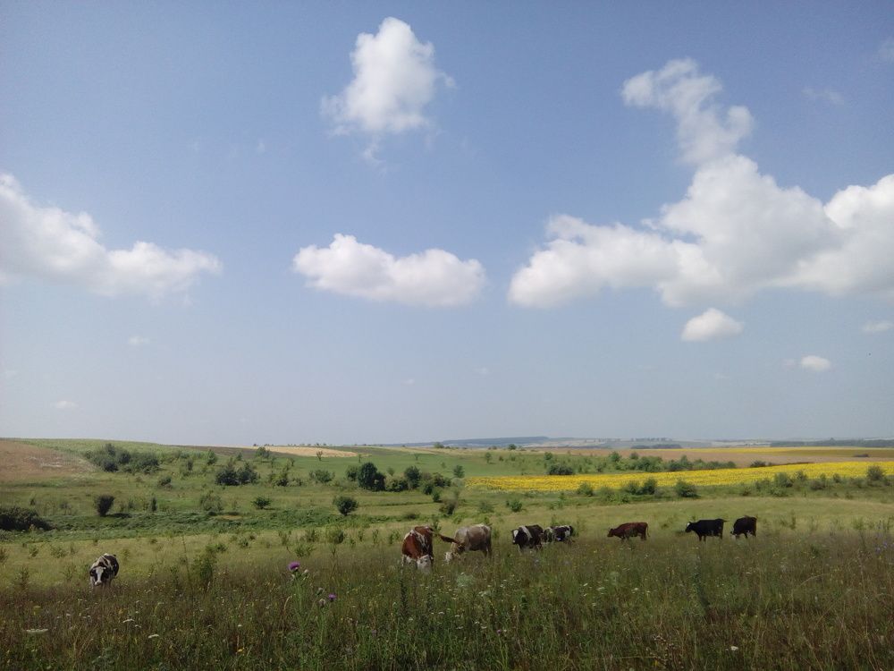 Цікавий час