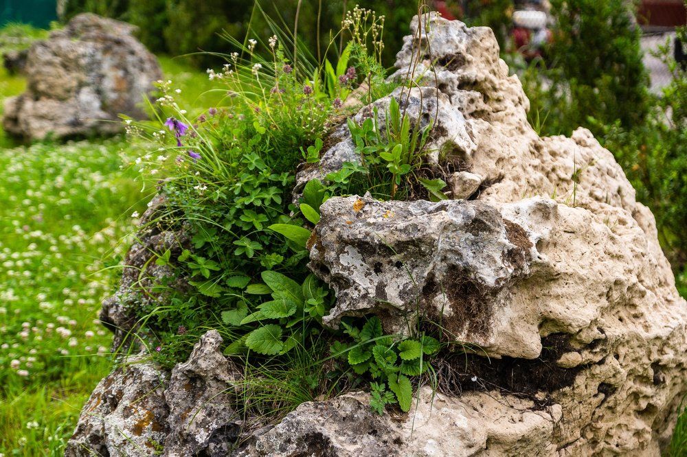 Photograph by Юрий Щербаков