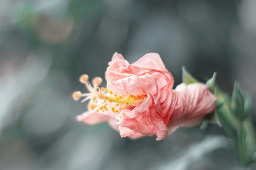 Photograph by Екатерина Моисеенко