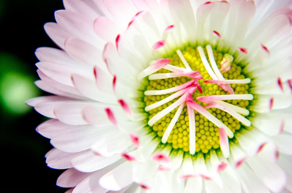 Photograph by Maryan Magola