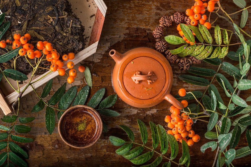 Чай с рябиной