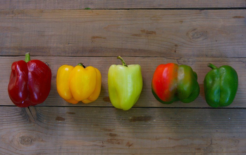Pepper rainbow