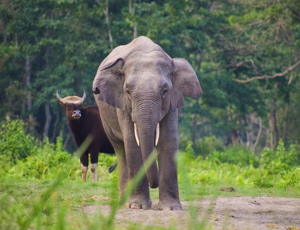 Hey! Big Bro, Who R U !