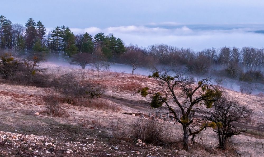 Про Мезмай и его туманы