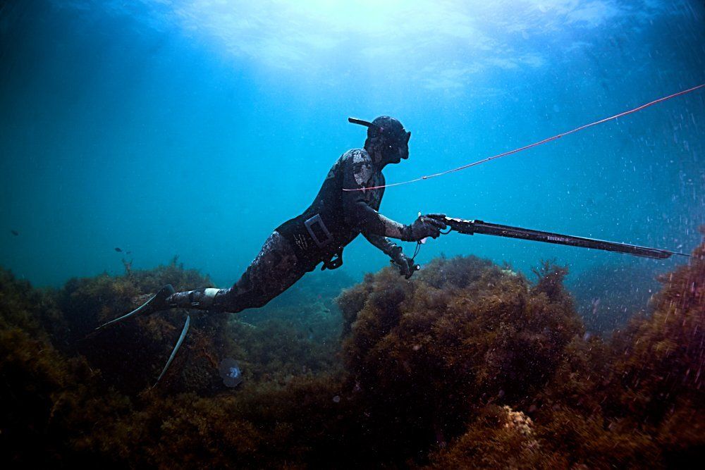 Подводный охотник.