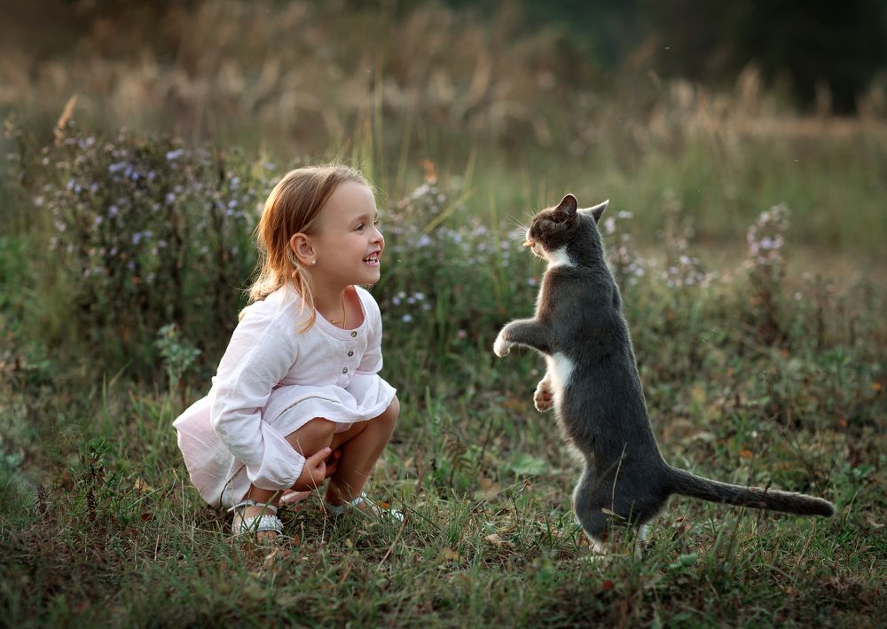 Фотография автора Анна Евгеньева