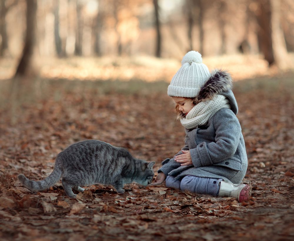 Фотография автора Анна Евгеньева