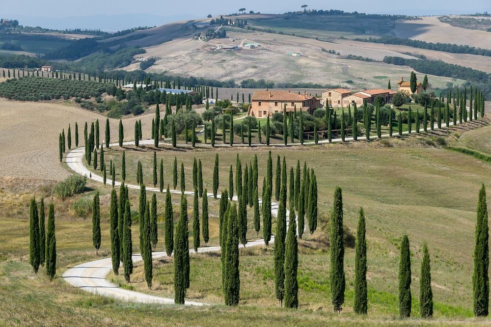 Фотография автора Андрей Симонов