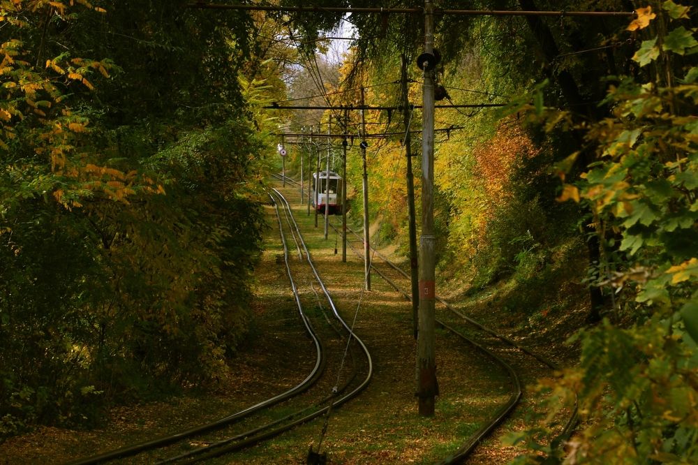 Photograph by Игорь Куленко