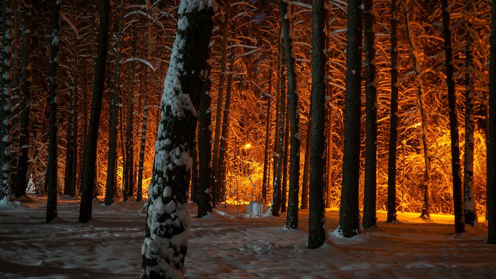 Photograph by Владислав Шигера