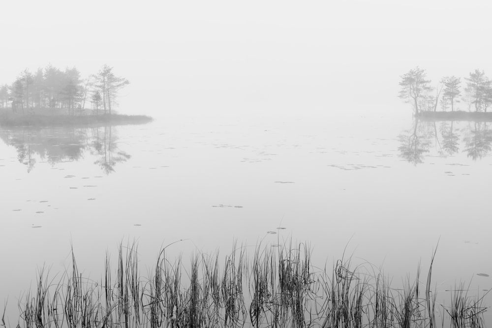 На озере в тумане