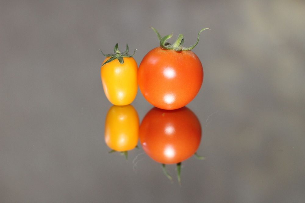 Photograph by Мари Полищук