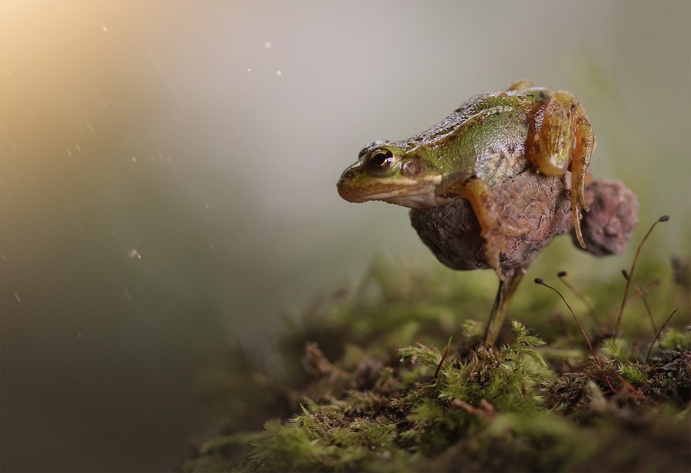 На рассвете