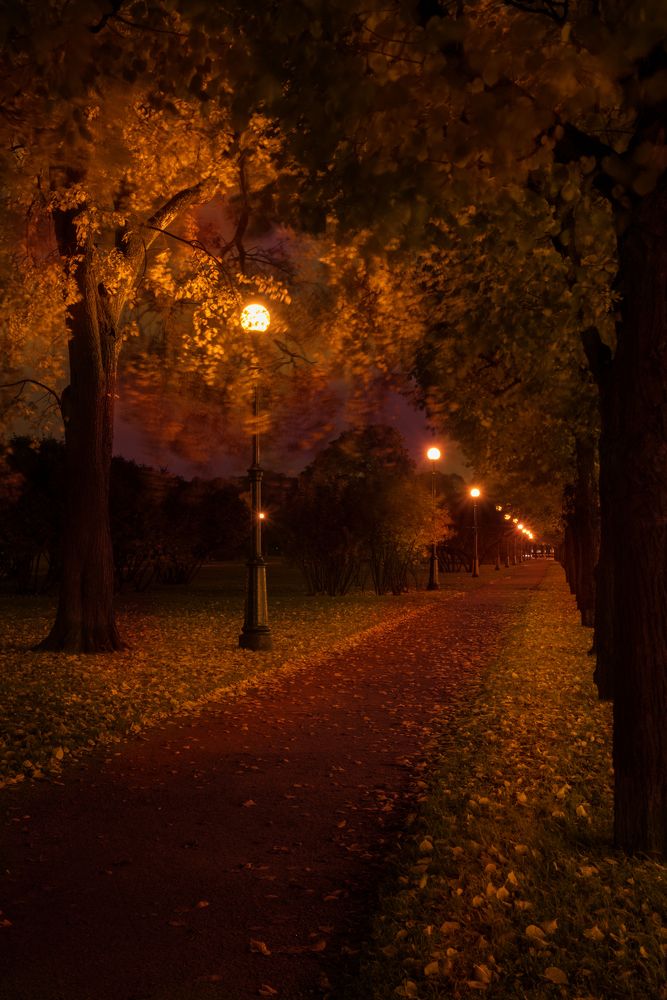 Ночной парк .