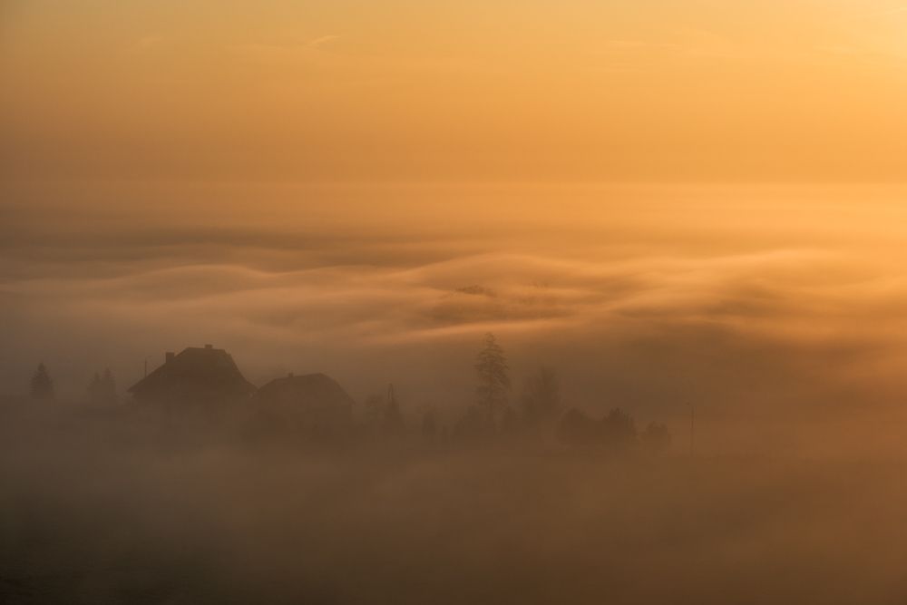 Deep mist at Rewa - Poland