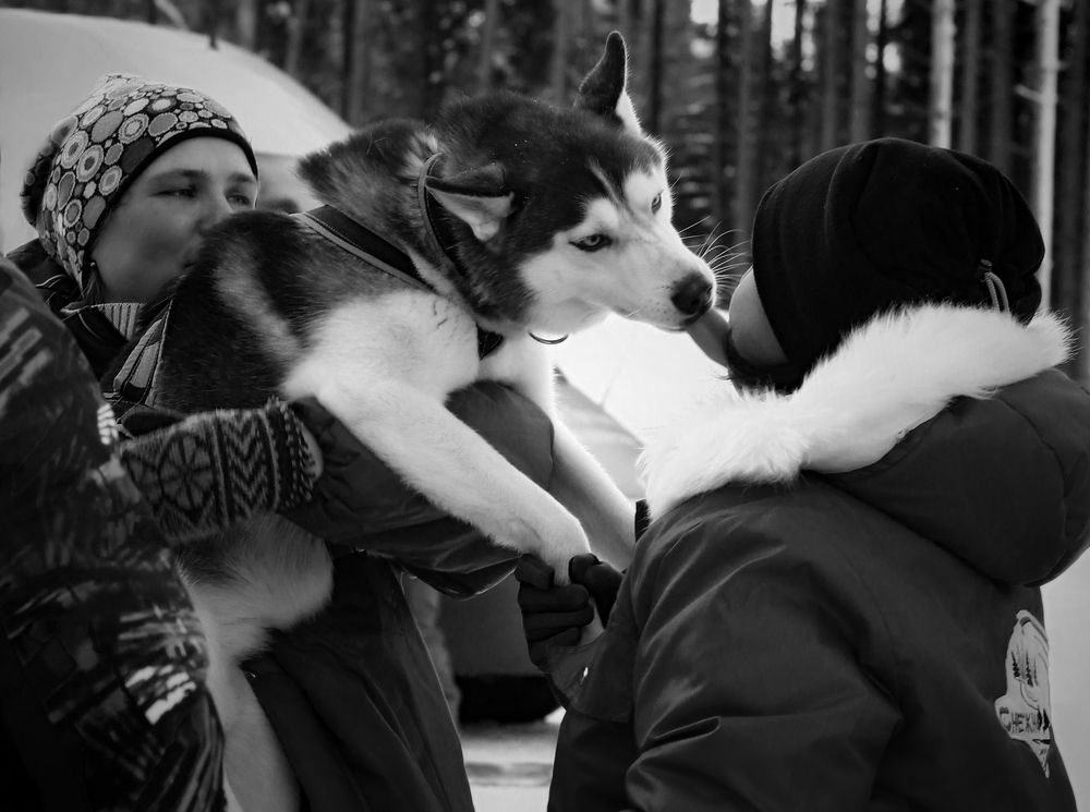 Photograph by Алексей Жданков