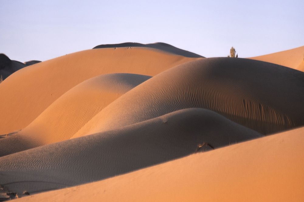 Mesr desert