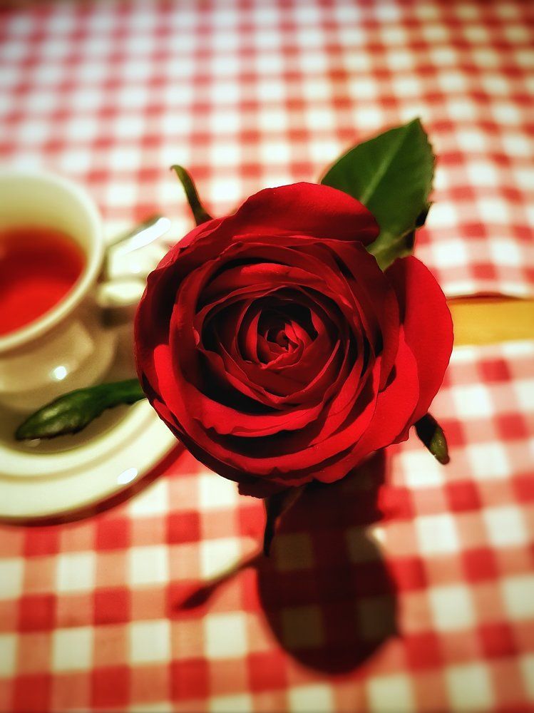 Photograph by Alicja Oręziak