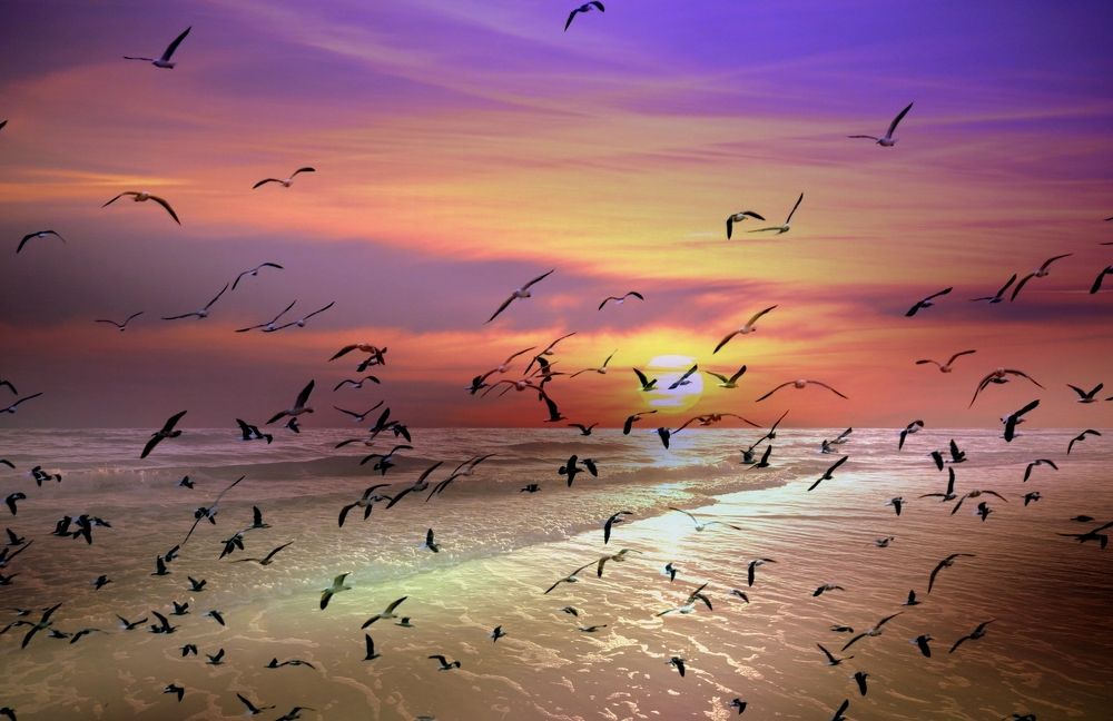 Sunset over Pacific Ocean