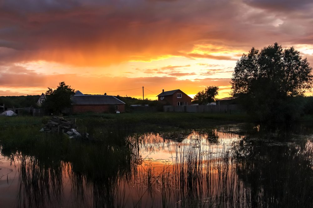 Photograph by Антон Кривошейцев