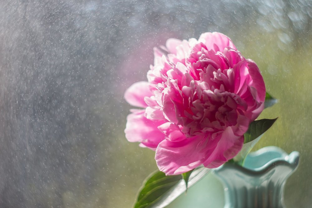 Одинокий пион