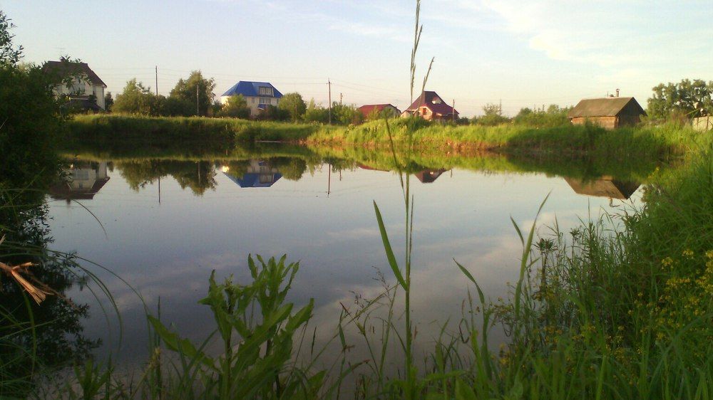 Красота