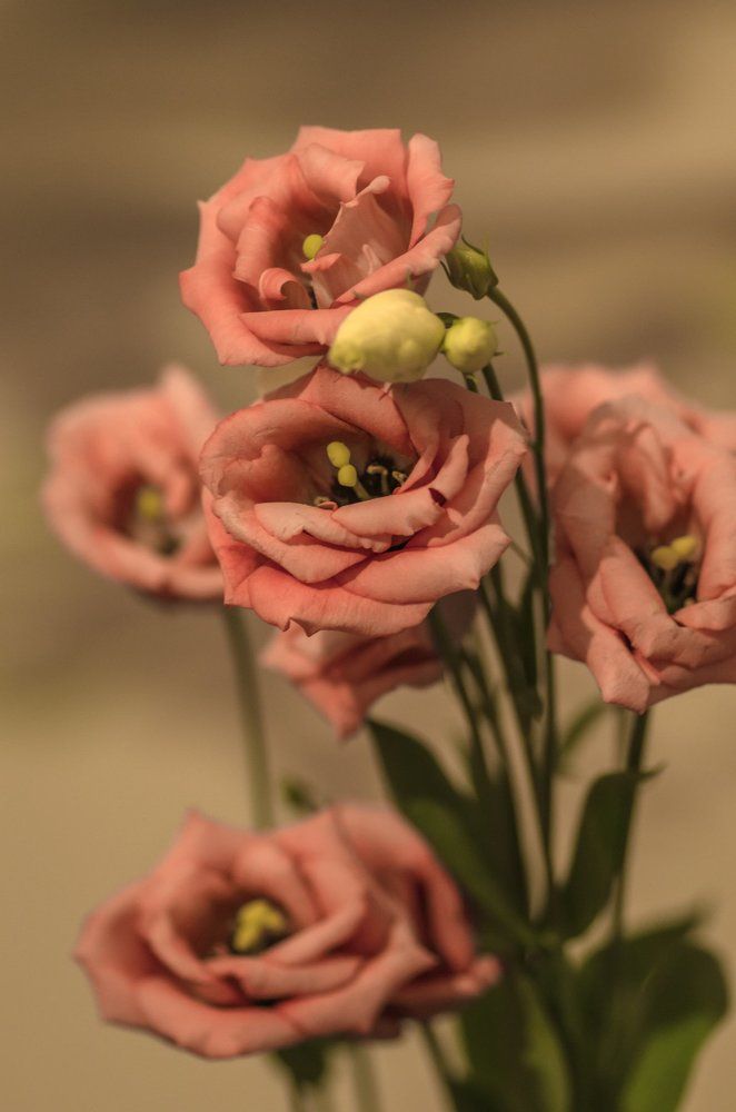 Фотография автора Константин Яковлев