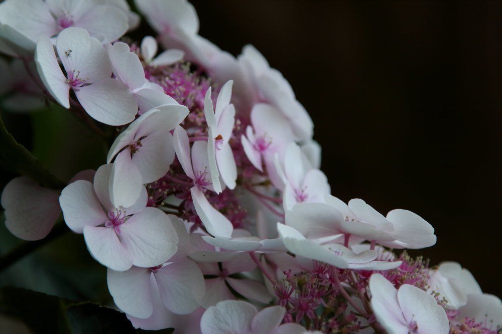 Photograph by Svitlana Zaritski