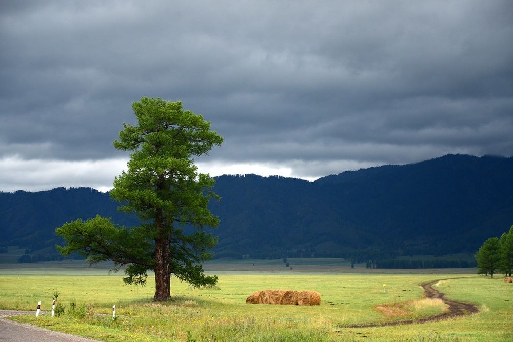 Долина Алтая после дождя.