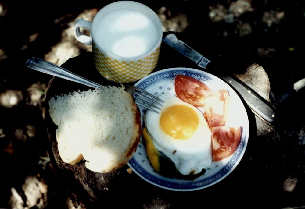 Breakfast on the hive.