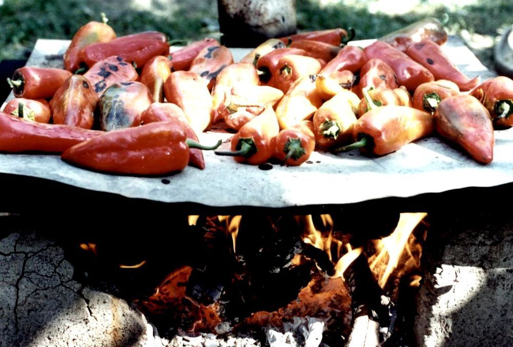 Baking peppers in the forest.
