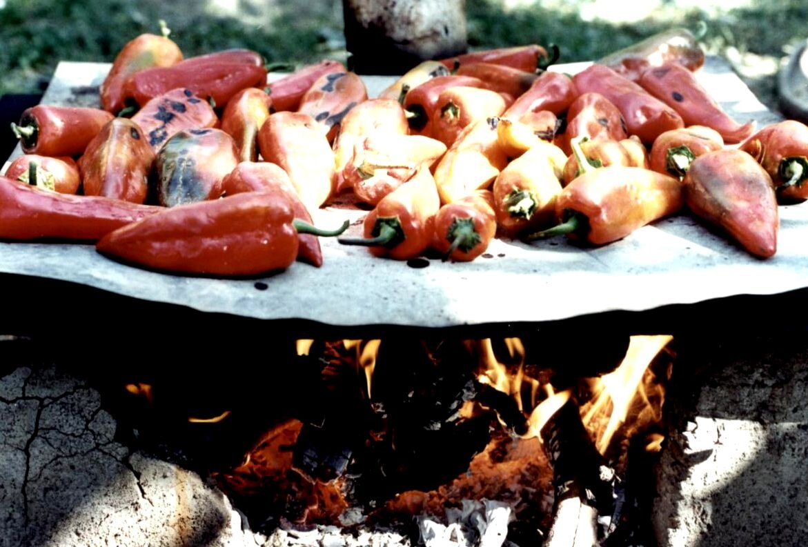 Baking peppers in the forest.