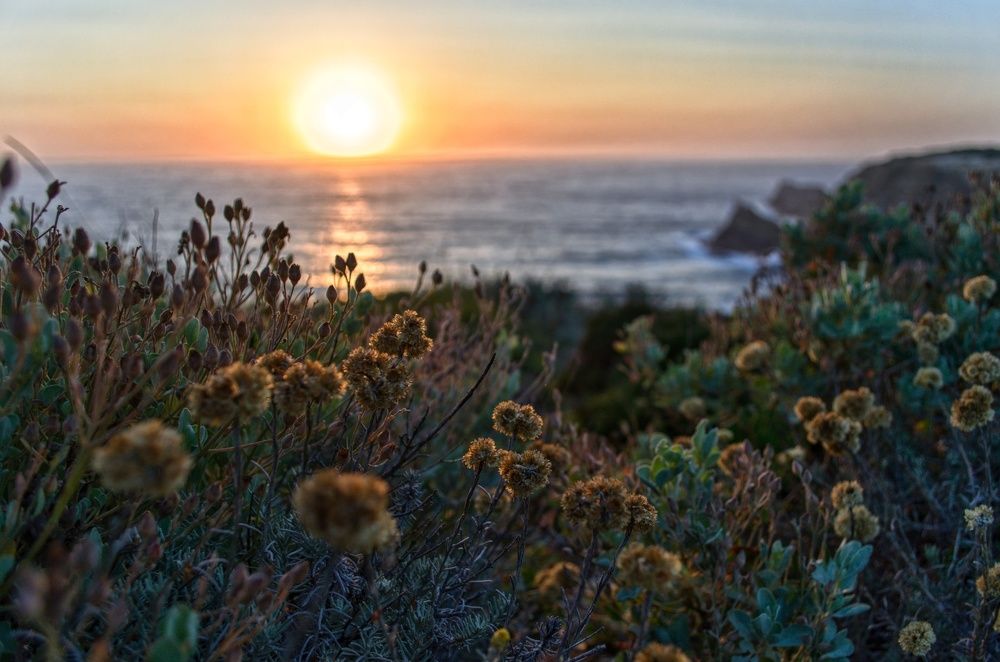 Photograph by Mister Ra)