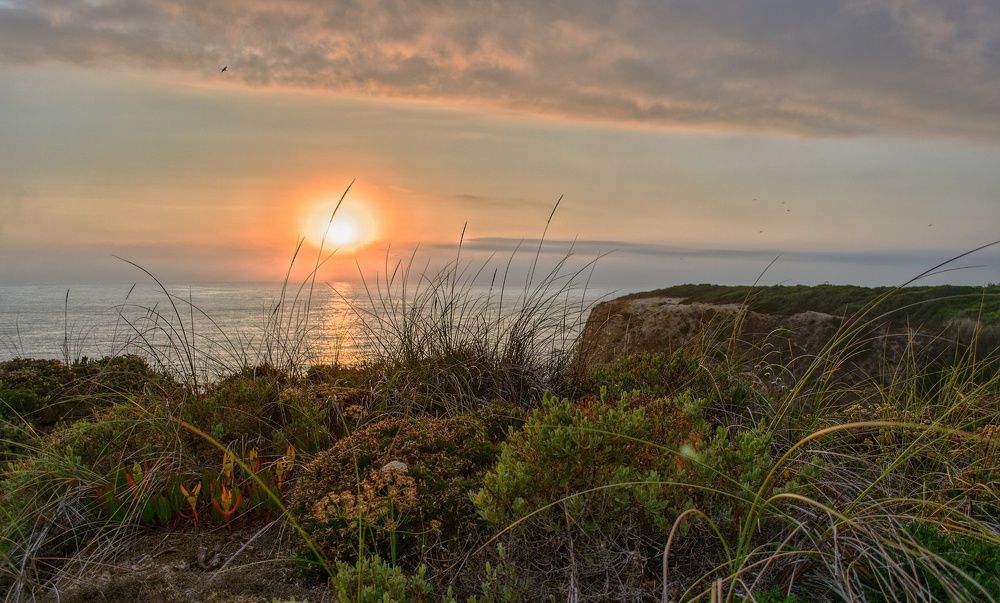 Photograph by Mister Ra)