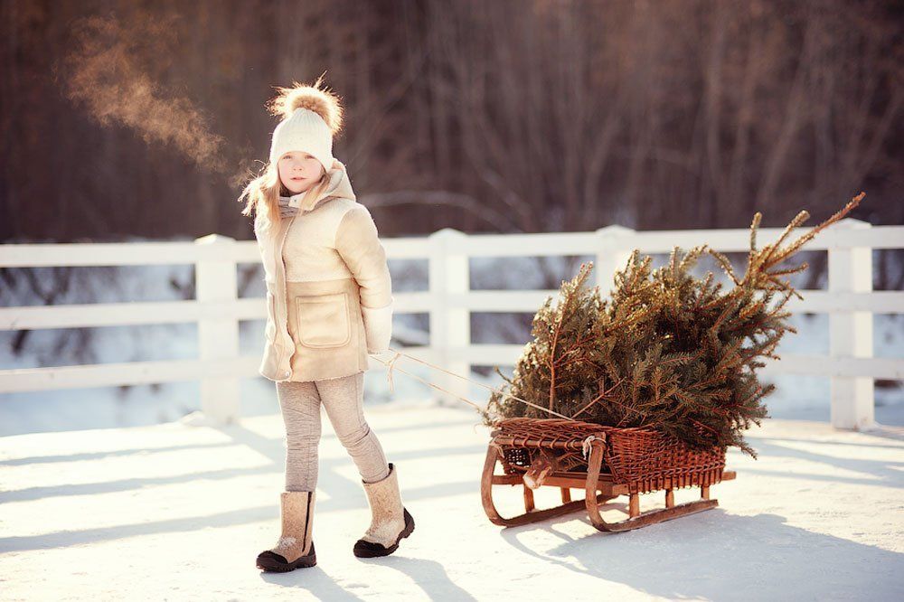 Photograph by Ольга Лебедева