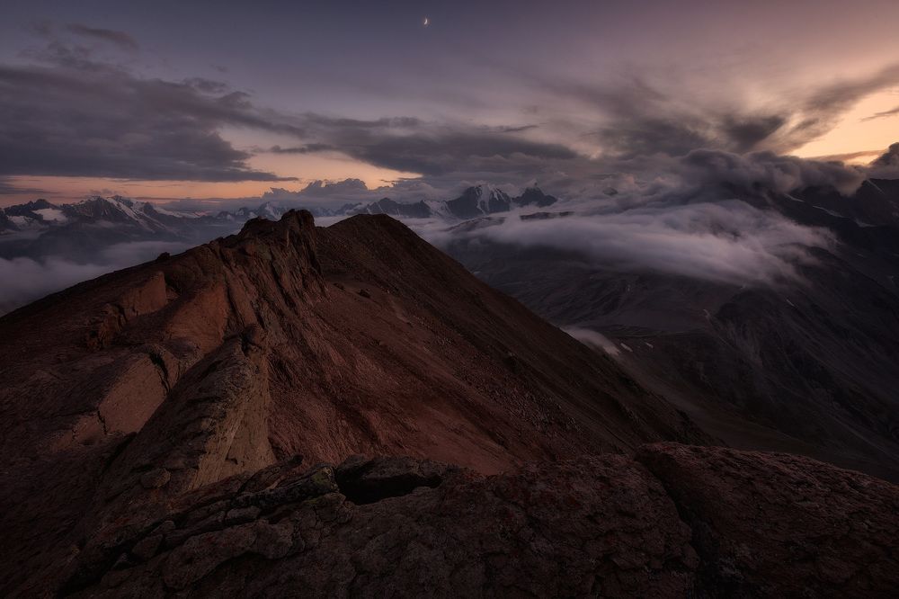 Плечо Кестанты