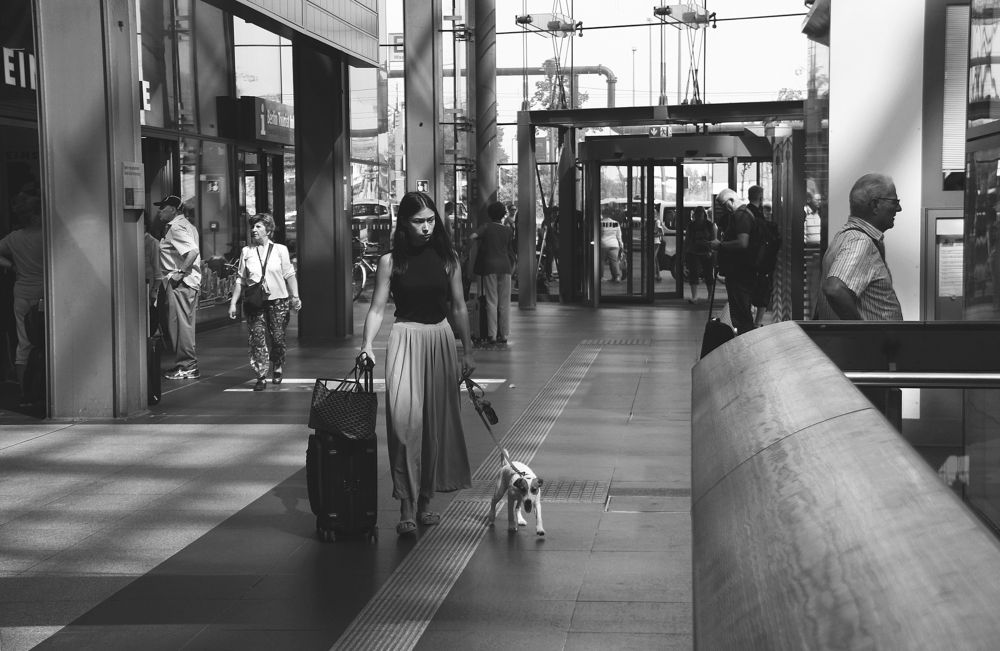 Girl with a dog / Девушка с собачкой